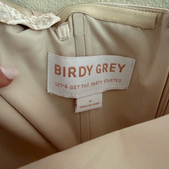 Birdy Grey Shiny Satin Champagne Mia Dress Size M - Picture 5 of 6